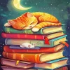 Cat Sleeping On Books Diamond Painting