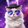 Cat With Galaxy Glasses Diamond Painting