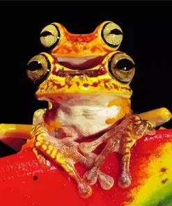 Chachi Tree Frog Diamond Painting