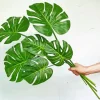 Green Monstera Leaves Diamond Painting