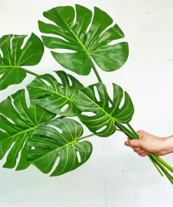 Green Monstera Leaves Diamond Painting