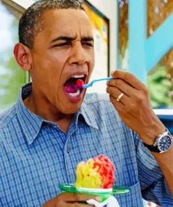 Obama Eating Ice Cream Diamond Painting