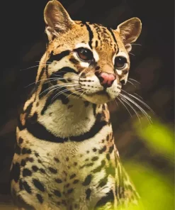Ocelot Wild Cat Diamond Painting
