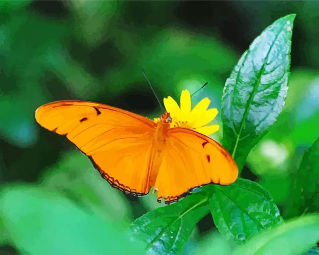 orange butterfly Diamond Paintings Orange Butterfly Diamond Painting