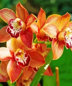 Orange Orchid Flower Diamond Painting