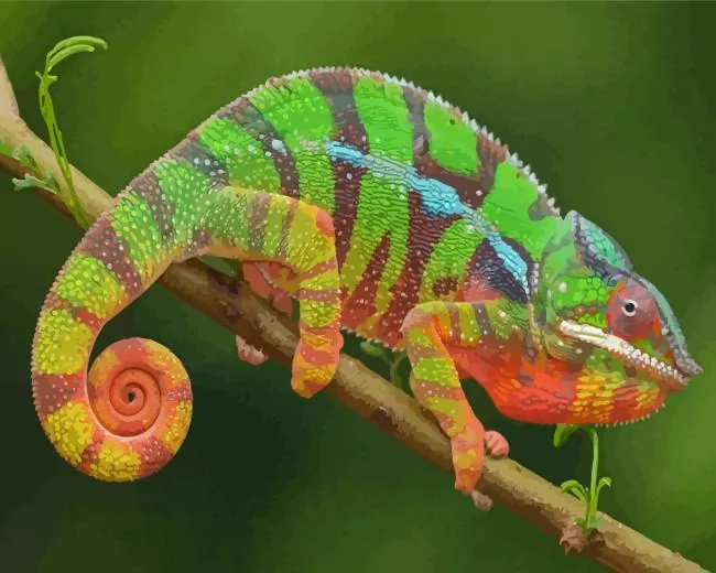 panther chameleon Diamond Paintings Panther Chameleon Diamond Painting
