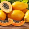 Papaya Fruit Diamond Painting