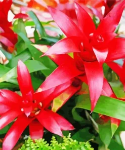 Red Bromeliad Flowers Diamond Painting