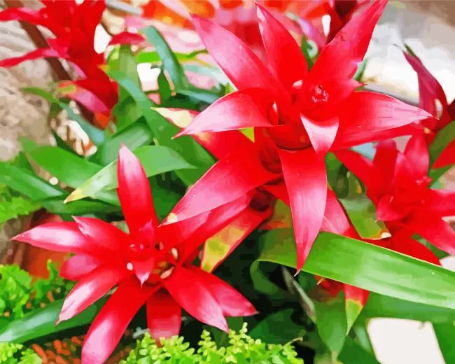 red bromeliad flowers Diamond By Numbers Red Bromeliad Flowers Diamond Painting