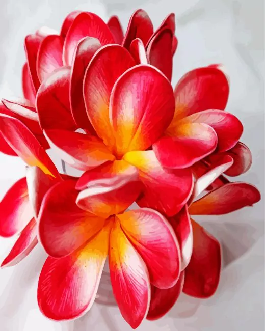 red frangipani flowers Diamond Paintings Red Frangipani Flowers Diamond Painting