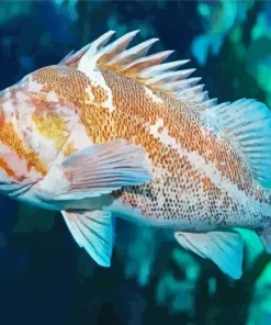 Red Rockfish Diamond Painting