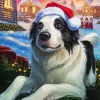 Santa Hat Art Diamond Painting