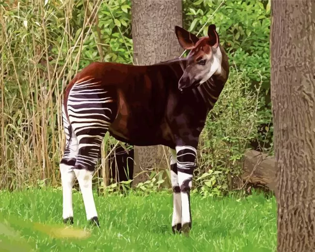 the okapi animal Diamond Paintings The Okapi Animal Diamond Painting