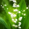 White Lily Of The Valley Diamond Painting