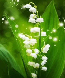 White Lily Of The Valley Diamond Painting